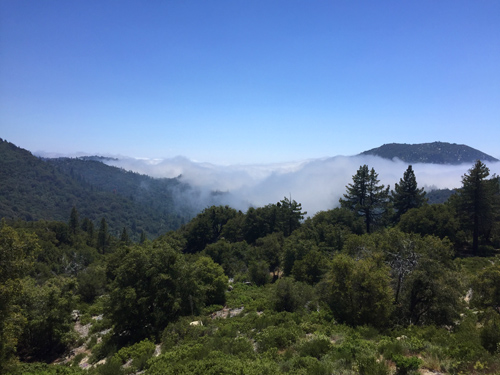 This was the scene last week as Tripp and I drove from the desert floor up to 6000 feet to Idyllwild. We rose through the clouds and then broke into the sun in the mountains just in time to play some jazz!