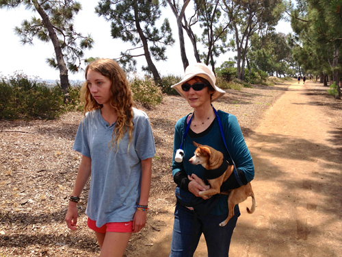 Our east Encinitas walk with Kylie and Stef carrying the little Rocky Boy. He did most of the walk on his own 2 legs but started to wear down.